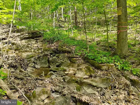 Sir Johns Run Rd, Berkeley Springs, WV 25411