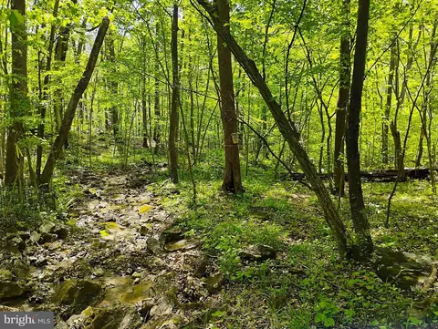 Sir Johns Run Rd, Berkeley Springs, WV 25411
