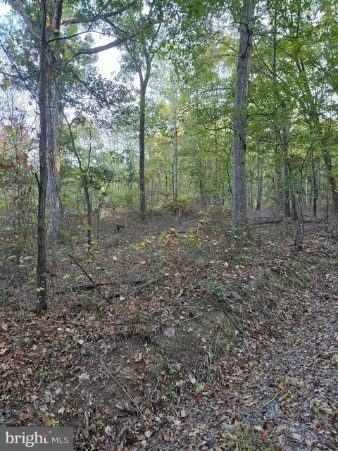 Hungaria Road, Berkeley Springs, WV 25411