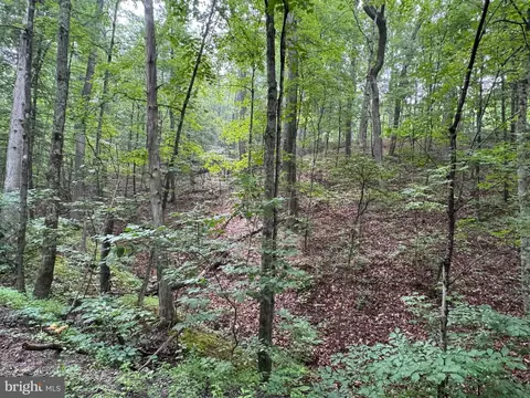 Cacapon Retreat Lane, Great Cacapon, WV 25422