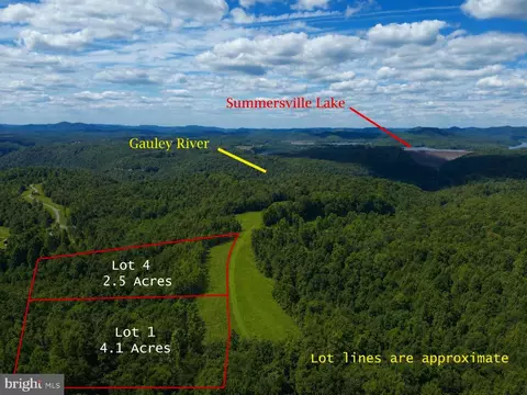 lot1 Gauley Ridge Rd, Mount Nebo, WV 26679