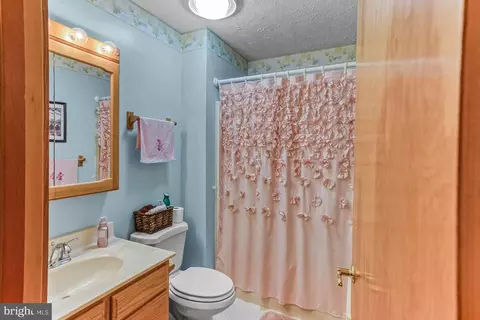 Bath - 671 E Alpine Dr, Terra Alta, WV 26764 photo 2 of 2