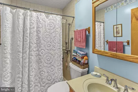 Bath - 671 E Alpine Dr, Terra Alta, WV 26764 photo 1 of 2