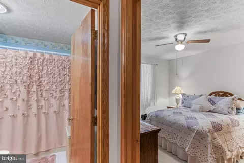 Other - 671 E Alpine Dr, Terra Alta, WV 26764 photo 5 of 31