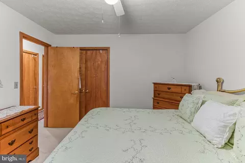 Bedroom - 671 E Alpine Dr, Terra Alta, WV 26764 photo 7 of 11