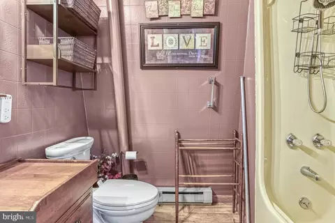 Bath - 1218 E Alpine Dr, Terra Alta, WV 26764 photo 5 of 5