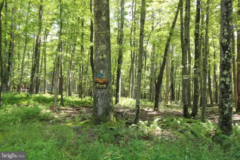 Other - 1218 E Alpine Dr, Terra Alta, WV 26764 photo 40 of 40