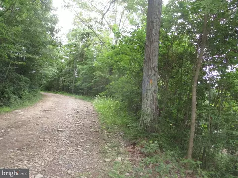 1000 Snake Rd, Aurora, WV 26705