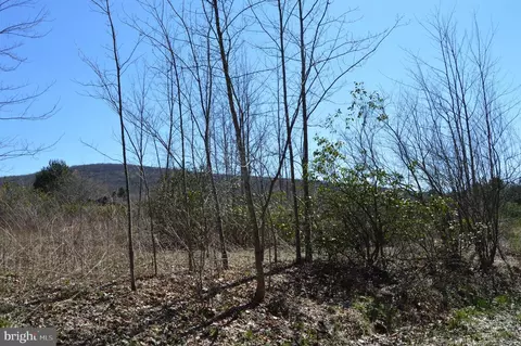 lot S 1 And 2 Grosbeak Dr, Terra Alta, WV 26764