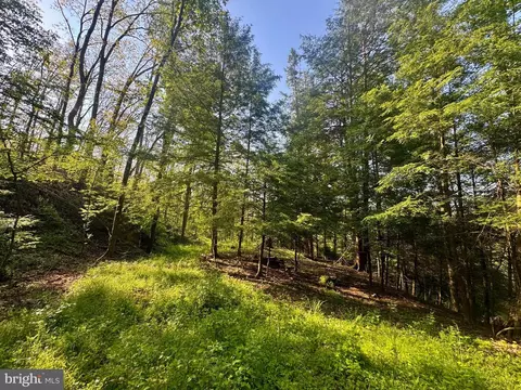 Tract A - John Orr Road, Independence, WV 26374