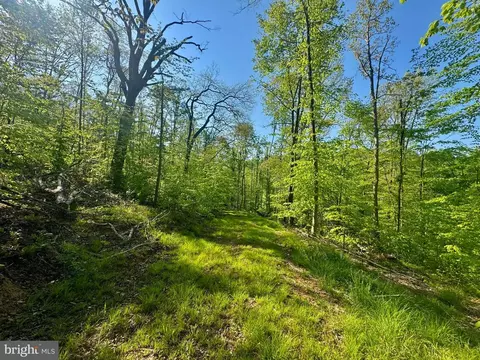 Tract B John Orr Rd, Independence, WV 26374 photo 15