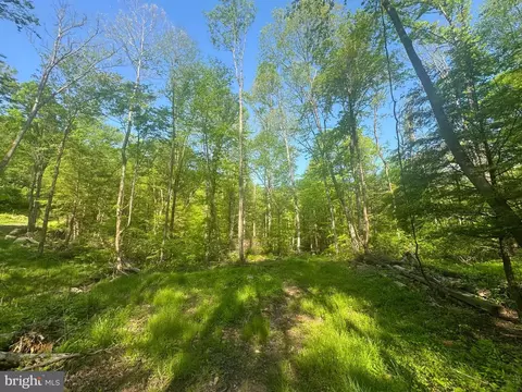 Tract B John Orr Rd, Independence, WV 26374 photo 20