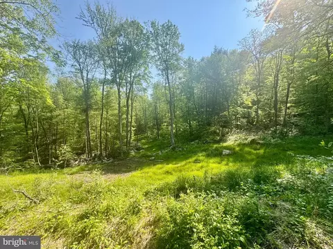 Tract B John Orr Rd, Independence, WV 26374 photo 27