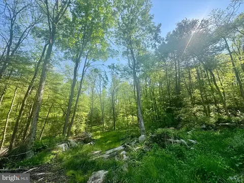 Tract B John Orr Rd, Independence, WV 26374 photo 25