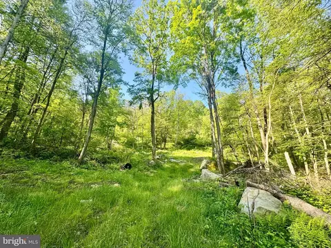 Tract B John Orr Rd, Independence, WV 26374 photo 8