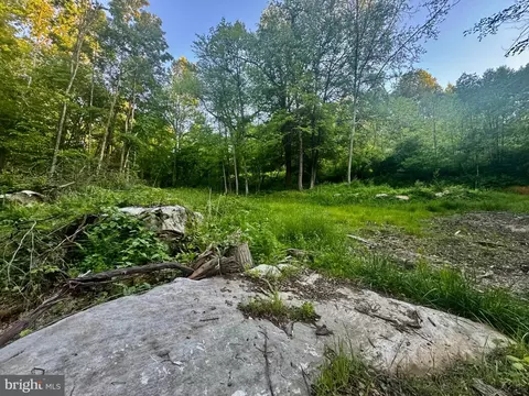 Tract B John Orr Rd, Independence, WV 26374 photo 3