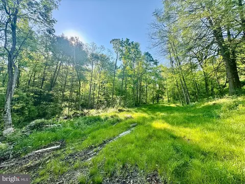 Tract B John Orr Rd, Independence, WV 26374 photo 6