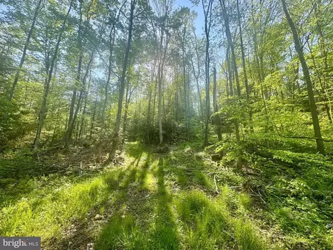 Tract B John Orr Rd, Independence, WV 26374 photo 22