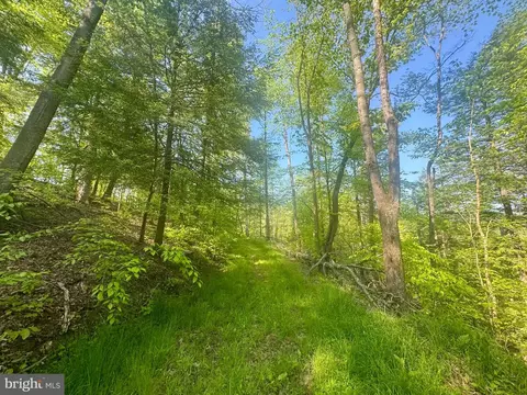 Tract B John Orr Rd, Independence, WV 26374 photo 16