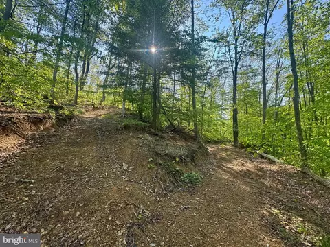 Tract B John Orr Rd, Independence, WV 26374 photo 14