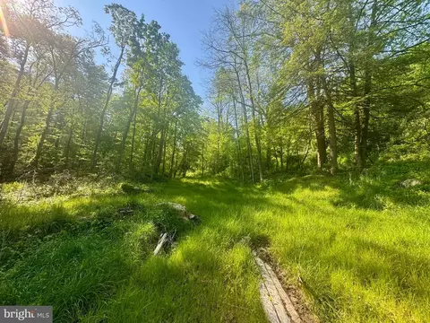 Tract B John Orr Rd, Independence, WV 26374 photo 24