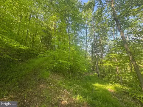 Tract B John Orr Rd, Independence, WV 26374 photo 18