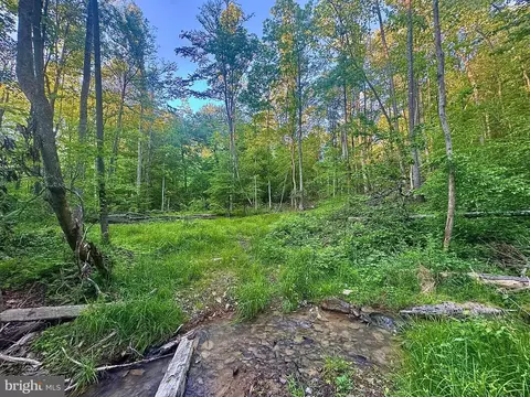 Tract B John Orr Rd, Independence, WV 26374 photo 30