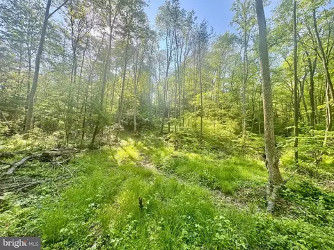 Tract B John Orr Rd, Independence, WV 26374 photo 21