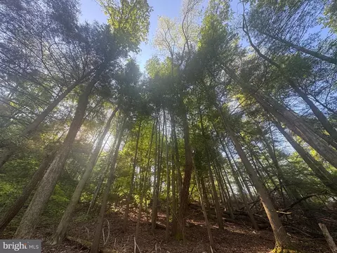 Tract B John Orr Rd, Independence, WV 26374 photo 19