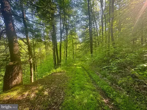 Tract B John Orr Rd, Independence, WV 26374 photo 17