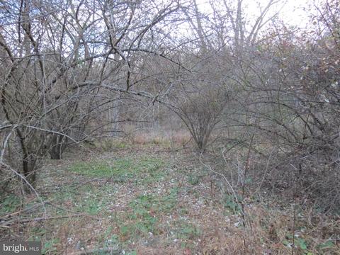 Brady Hollow Road, Brandywine, WV 26802