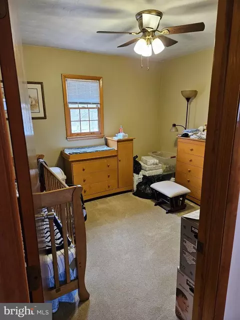 166 Carter Ln, Upper Tract, WV 26866 photo 30