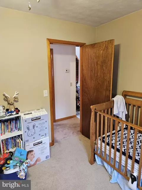166 Carter Ln, Upper Tract, WV 26866 photo 31