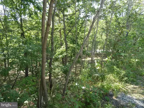 166 Carter Ln, Upper Tract, WV 26866 photo 44