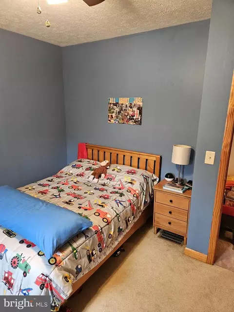 166 Carter Ln, Upper Tract, WV 26866 photo 33