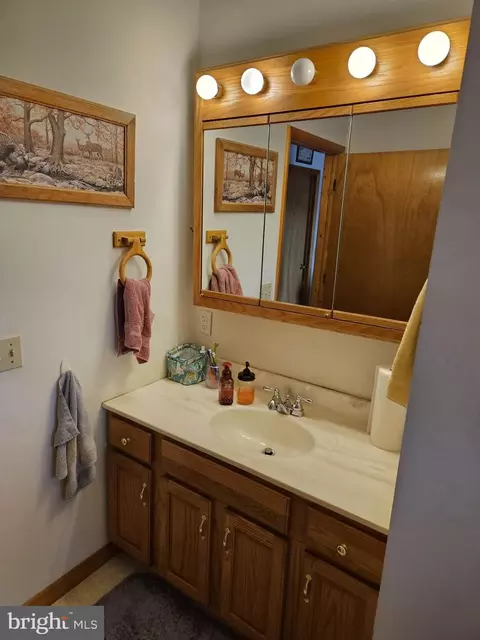 166 Carter Ln, Upper Tract, WV 26866 photo 27