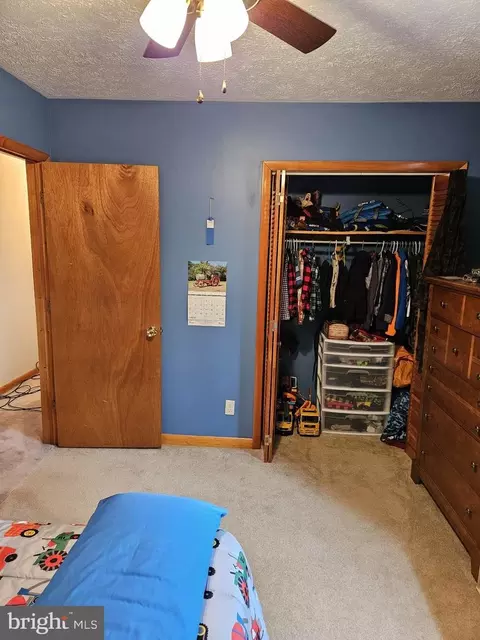 166 Carter Ln, Upper Tract, WV 26866 photo 34
