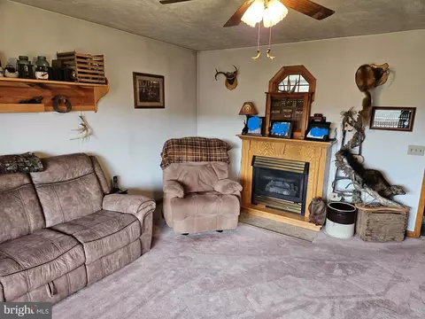 166 Carter Ln, Upper Tract, WV 26866 photo 23