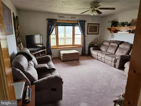 166 Carter Ln, Upper Tract, WV 26866 photo 21