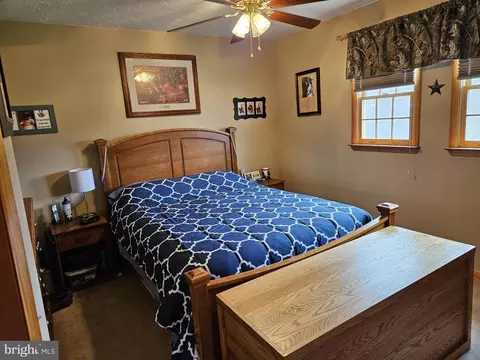 166 Carter Ln, Upper Tract, WV 26866 photo 28