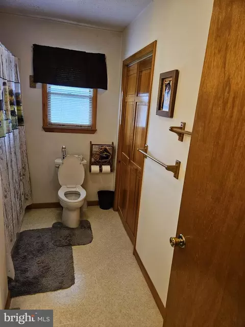 166 Carter Ln, Upper Tract, WV 26866 photo 26