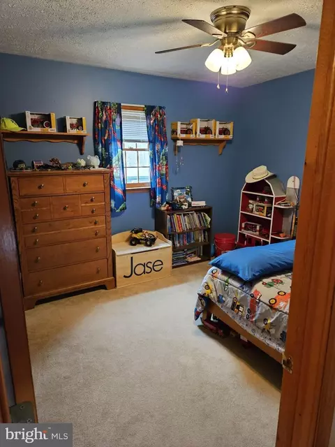 166 Carter Ln, Upper Tract, WV 26866 photo 35