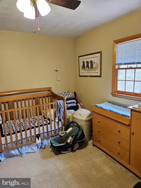 166 Carter Ln, Upper Tract, WV 26866 photo 32