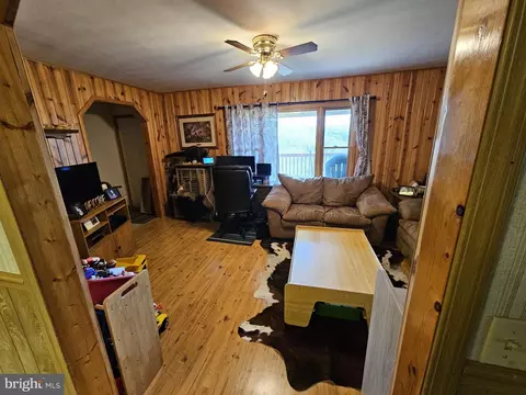 166 Carter Ln, Upper Tract, WV 26866 photo 25
