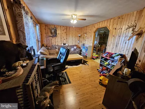 166 Carter Ln, Upper Tract, WV 26866 photo 24