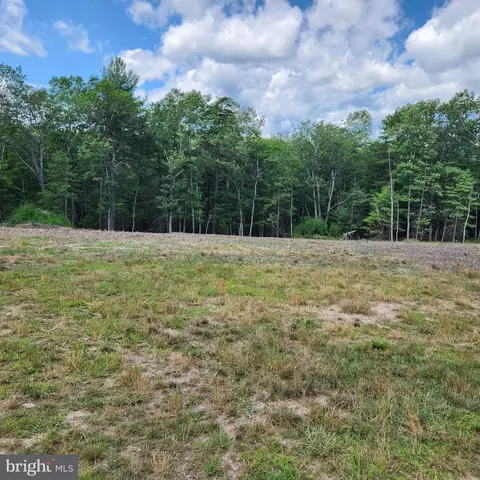 0 Broad Run, Brandywine, WV 26802 photo 33