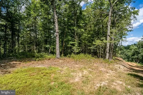 0 Broad Run, Brandywine, WV 26802 photo 17