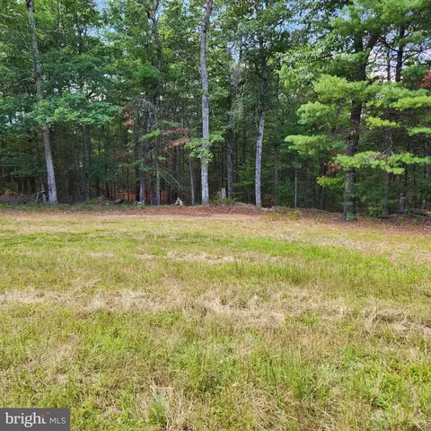 0 Broad Run, Brandywine, WV 26802 photo 31