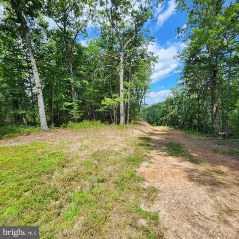 0 Broad Run, Brandywine, WV 26802 photo 37