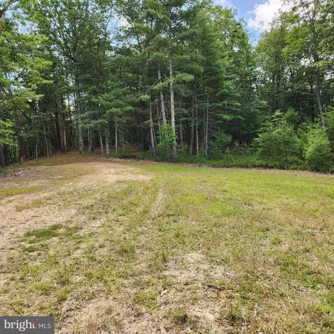0 Broad Run, Brandywine, WV 26802 photo 30